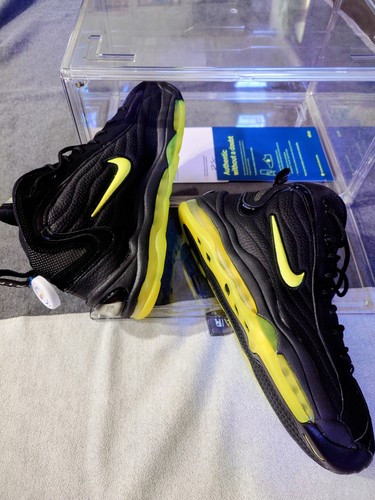 Sneakerhead collector shoes - sneakerhead,